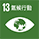 vippay钱包(China)官网