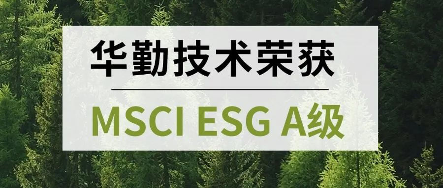 vippay钱包(China)官网